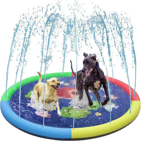 Piscine pliable pour chien et enfants (1/4)