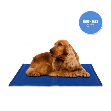 Tapis rafraîchissant pour chien 65x50 cm – Gel actif non toxique – Régule la température – Nettoyage facile avec chiffon humide – Mediawave Store