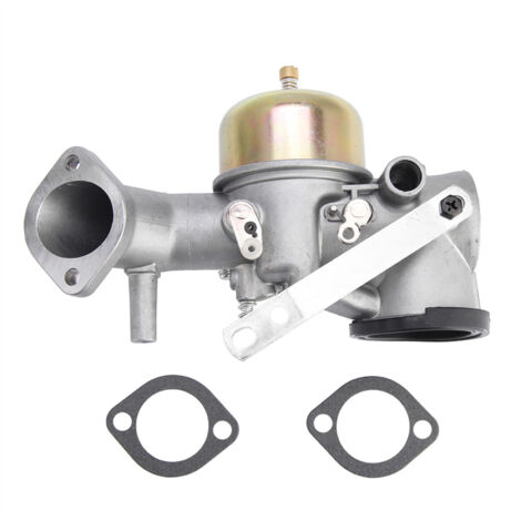 Carburateur pour Moteur Briggs 12CV (491031, 490499, 491026, 281707) (1/5)