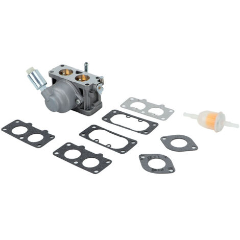 Carburateur de Remplacement pour Moteur Briggs & Stratton - Réf. 796258 (1/5)