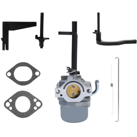 Carburateur Nikki pour Souffleuse à Neige Briggs & Stratton - Remplace 591378, 699966, 699958 (1/5)