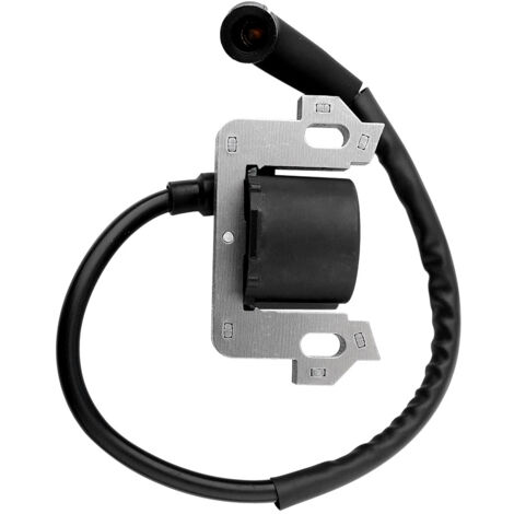 Module de bobine d'allumage compatible avec Honda GCV135 GCV160 (1/5)
