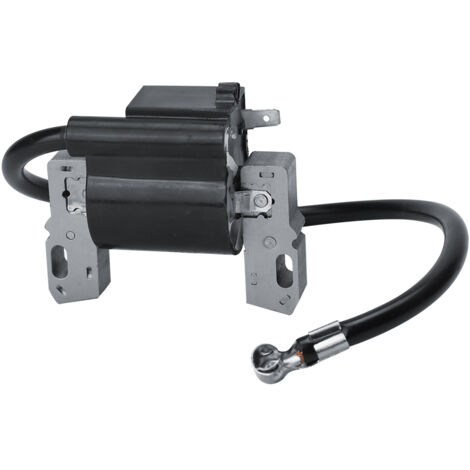 Module de bobine d'allumage compatible avec Briggs & Stratton 591420 398593 496914 793281 793295