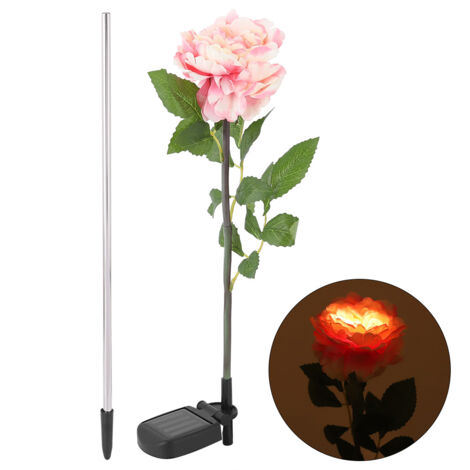 Lampe solaire d'extérieur pour jardin, décoration LED en forme de pivoine pour pelouse (1/5)