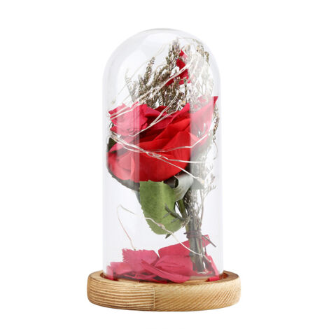 Lampe romantique LED en fil de cuivre et verre rose en forme de dôme Lampe de nuit décorative Cadeau pour les amoureux et les amis (1/5)