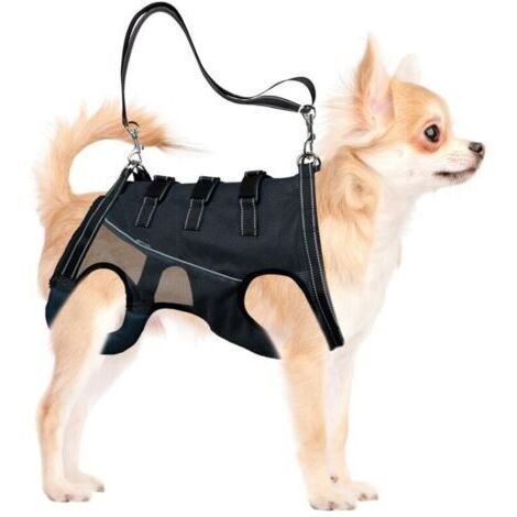 Harnais de levage pour chiens handicapés et seniors - Harnais réglable en polyester avec doublure maille respirante, anneau D et bande réfléchissante pour chiens petits et moyens