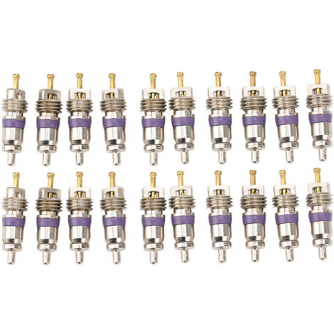 Eosnow 20pcs Car Climating Valve Core Core Automobile Conditionneur de revitateur pour Benz