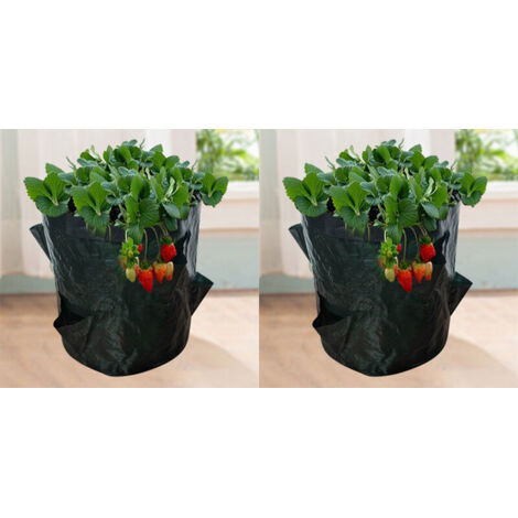 Sacs de Culture pour Fraise, 2PCS 18L/5 Gallons Sac de Legumes, Tissu Non-tissé Sac de Plantation avec Fenêtre, Sac de Legumes de Jardin (23X28CM (4 ports))