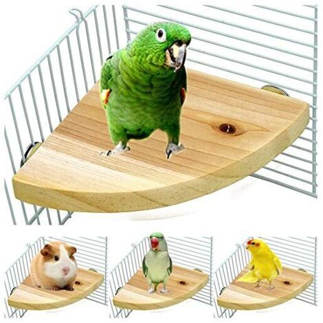 Cage à Oiseaux Perche Support Plate-Forme en Bois Forme de Ventilateur Perroquet Terrain de Jeu Cage Accessoires pour Oiseau Perroquet Hamster écureuil Debout