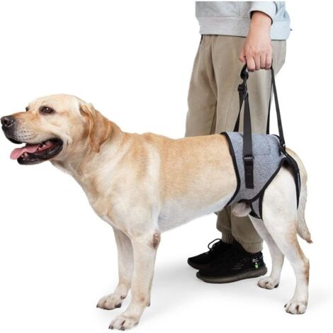 Harnais de Levage pour Chien – Harnais de Soutien pour Pattes arrière – Écharpe de Soutien Souple pour Chiens de Petite, Moyenne et Grande Taille blessée (XL, Gris) (1/4)