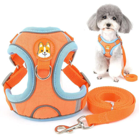 Ensemble harnais et laisse pour petits chiens, harnais réfléchissant réglable pour chiot en daim doux, imperméable, orange, taille S (1/4)