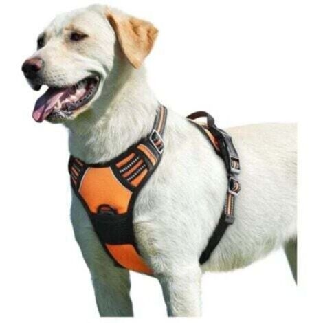 Orange, L,Harnais Chien, Harnais Anti Traction pour Chien Réfléchissant Réglable, Facile à Mettre, avec Poignée Contrôle, Arnet pour Chien Respirant, Durable, Harnais pour Chien Moyen et Grand (1/4)