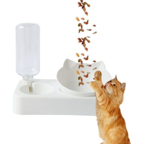 500ml Gamelles pour Chats, Inclinable à 15° Bol pour Chat, 2 en 1 Gamelles pour Chat, Ensemble De Bols pour Chat Et Chien De Petite Et Moyenne Taille (Blanc) (1/4)