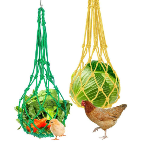 Lot de 2 brochettes de légumes et de fruits avec crochet en S pour poulets, jouet d'alimentation suspendu pour poulets, jouets pour poulets et grands oiseaux
