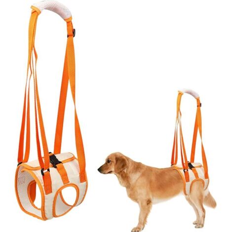 Harnais de Levage pour Chien, Harnais de Soutien pour Pattes Arrière, Soutien Postopératoire pour Pattes Arrières Faibles, Ceinture de Soutien et de Rééducation pour Chien âgés, Blessés (L) (1/5)
