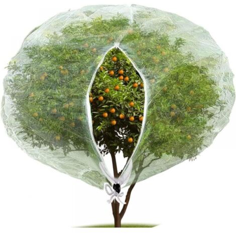 Filet anti-insectes et anti-oiseaux (240 x 240 cm) avec fermeture éclair, filet anti-insectes de jardin pour protéger les plantes, les fruits et les fleurs des insectes