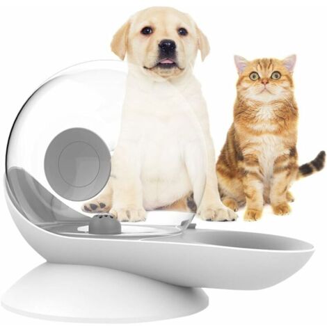 Distributeur d'eau pour Chat Chien, Abreuvoir à gravité pour Chat, Forme d'escargot, Fontaine d'eau pour Chat Automatique, Distributeur de Bol d'eau pour Chien - Niveau d'eau Facile à Voir (Gris)