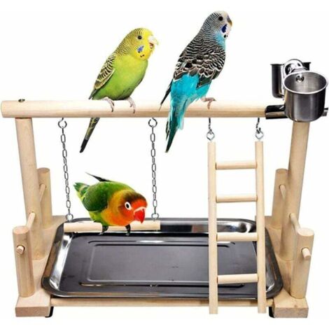 Photo inspiration: Gallery Detail: Bird Play Area Toy For Parrots Cockatoo Cage Accessory With