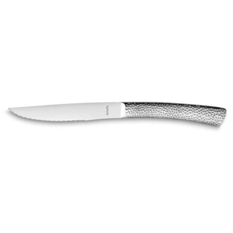 6 x couteaux à steak BONGO XL - Inox - 22.7cm – Amefa (1/3)
