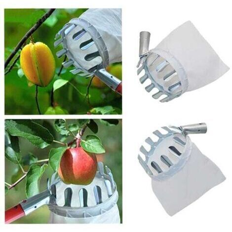 2 pièces en métal cueilleur de fruits verger jardinage pomme pêche haut arbre outils de cueillette attrape-fruits collecteur outils de jardinage-15CM