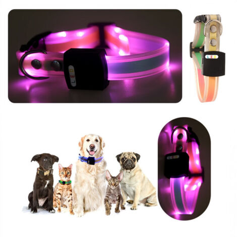 LED Light-Up Pet Collar
