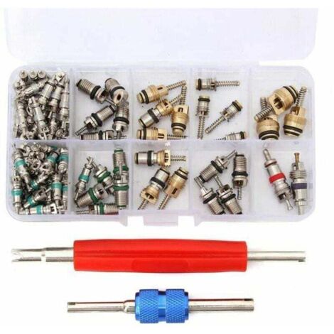 100x Valve Core R12/R134A Car Air Conditioner Valve Core Removal Kit, Sunny (1/4)