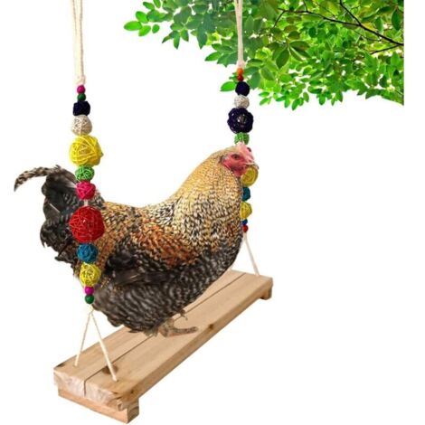 Chicken coop accessory: Chicken swing, chicken perch, chicken ladder stand for poultry racing, large bird, parrot, hen, macaw, rooster, chick toy