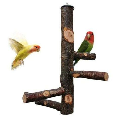 Joody Parrot Cage Perch, Parakeet Toys, Natural Wood Perch for 3 or 4 Small or Medium Parrots, Cockatoos, Conures, Budgies, Lovebirds, Finches