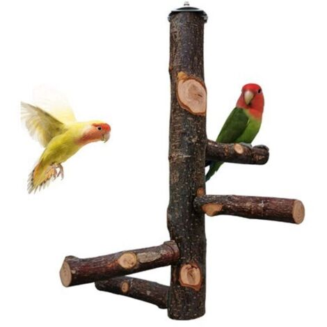 Joody Parrot Cage Perch, Parakeet Toys, Natural Wood Perch for 3 or 4 Small or Medium Parrots, Cockatoos, Conures, Budgies, Lovebirds, Finches
