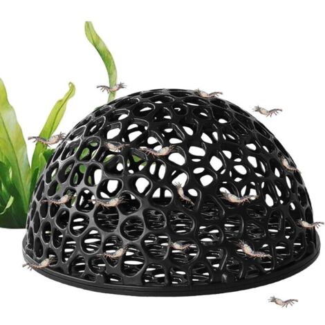 Aquarium cave, hollow hiding place, shrimp shelter, 10 x 10 x 5.5 cm, ideal for breeding and resting at home, suitable for turtles, bettas, saltwater and freshwater aquariums