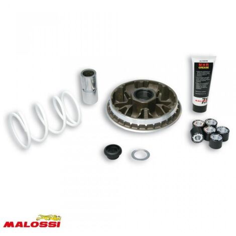 malossi variator für roller honda 300 sh nach 2010 5114192 /