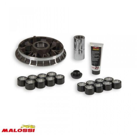 malossi variator für roller bmw 650 c gt nach 2016 5117304 /
