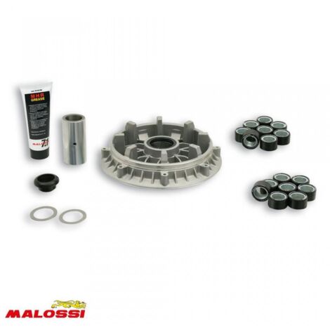 malossi variator für roller yamaha 500 t-max 2001 bis 2003 neu