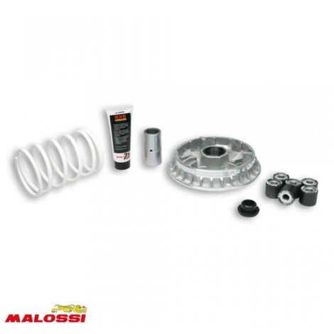 malossi variator für roller kymco 500 x-citing nach 2006 5114264
