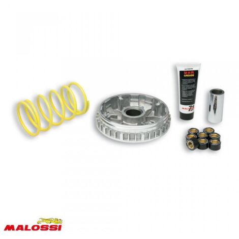 Variator malossi für Roller yamaha 250 x-max nach 2006 neu
