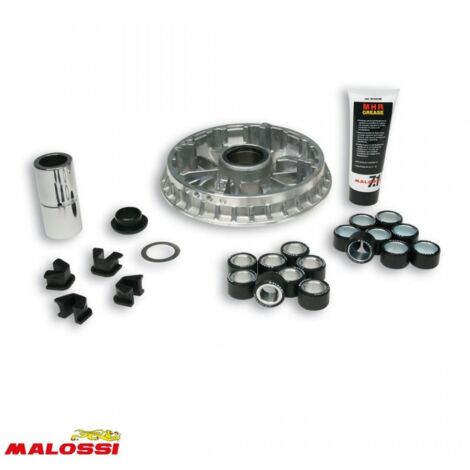 malossi variator für roller yamaha 400 majesty nach 2009 5114148
