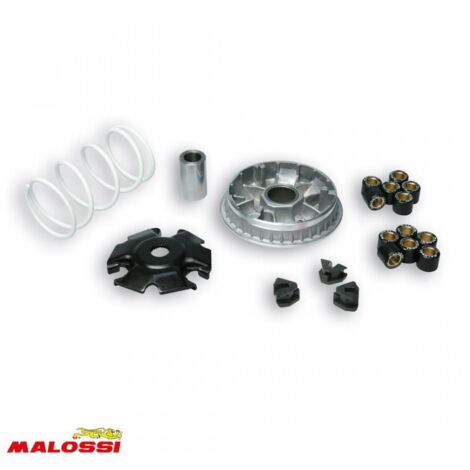Malossi Variator für Scooter Aprilia 200 Atlantic 2003 bis 2006 (1/5)