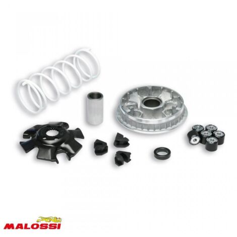 Variator malossi für Roller suzuki 125 uh burgman nach 2001 neu