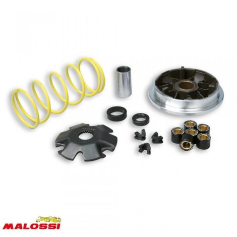 malossi multivar variator für roller suzuki 50 katana nach 1999