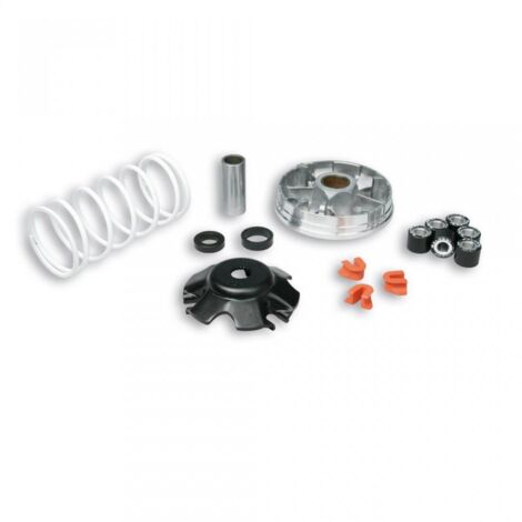 Malossi-Variator für Gilera 50 Ice Roller 2002 bis 2004 51 9019 /
