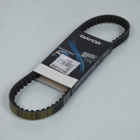 dayco keilriemen für roller peugeot 50 ludix classic 14p 2004 (1/3)