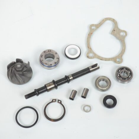 Wasserpumpe RMS für Scooter Malaguti 150 F18 2000 bis 2002 (1/3)