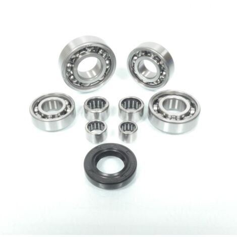Lager oder Dichtung spi Motor rsm für Motorrad aprilia 50 tuono