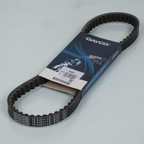 dayco-antriebsriemen für piaggio-roller 50 nrg mc3 2001 bis 2004 (1/5)