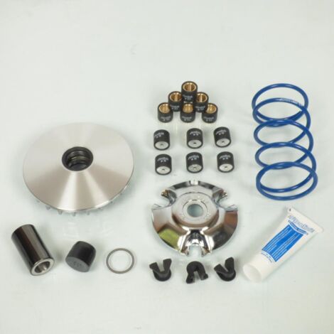 polini variator für roller piaggio 125 liberty 4t 2003 bis 2020