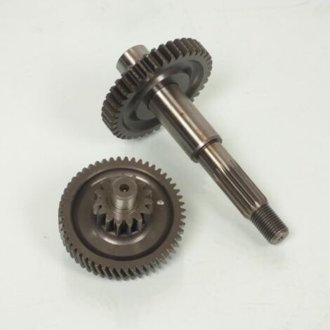 doppler-getriebe-hinterachse für roller yamaha 50 neos 2t 2008 (1/5)