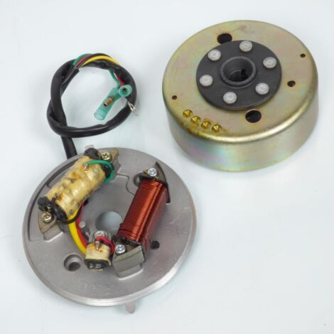 Stator- und Zündrotor RSM für Mobylette MBK 50 51 Moriyama