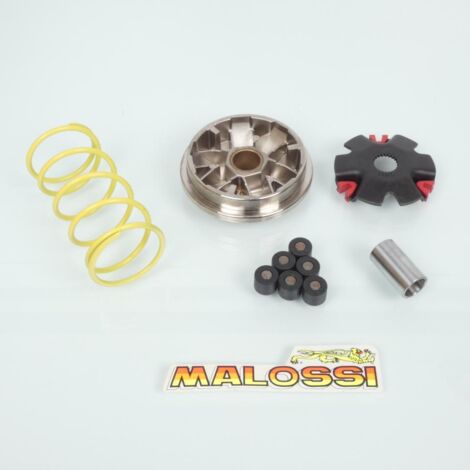Malossi Variator für Scooter Italjet 50 Velocifero 51 7128 /