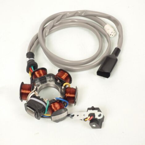 Teknix-Lichtmaschine für Piaggio 125 Vespa ET4 1998 bis 2005, 6