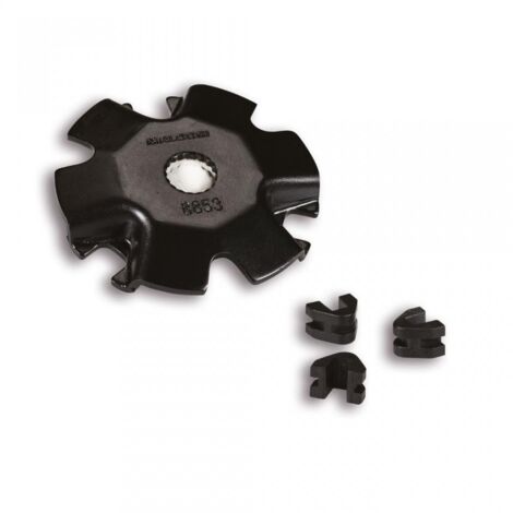 flansch des variators malossi für roller pgo 50 big max 258853b